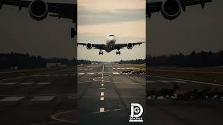 When nature meets aviation! ️
