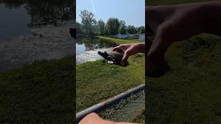 Fishing at an OLD pond