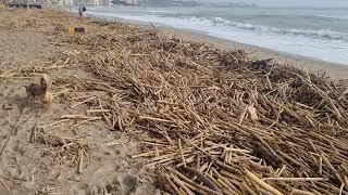 Los Boliches beach/ Fuengirola after Dana Rain.