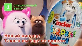 Kinder Maxi NEW! Тайная жизнь домашних животных 2 СпецВыпуск Pets2