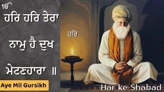 har har tera naam hai dukh metin hara | full shabad | aye mil gursikh | bhai dalbir singh ji