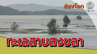 ส่องโลก ตอน ทะเลสาบสงขลา (ออกอากาศ 9 มีนาคม 2536)