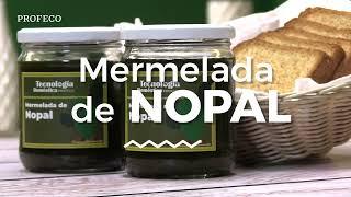 Mermelada de Nopal | Tecnología Doméstica | Profeco