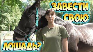 Стоит ли заводить свою лошадь?