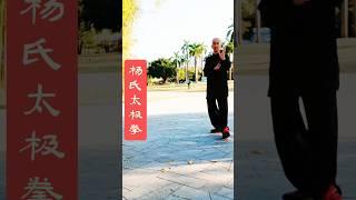 原传传统太极拳，原汁原味 #太极 #太極拳 #kungfu #taijiquan