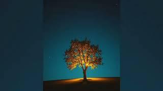 I hear the whisper of the morning stars @oleh_prime Ukrainian Music 2025