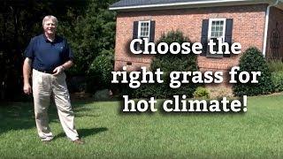 Warm Season Grasses: Choosing Turfs for Hot Climates