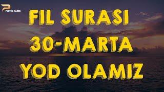 Fil surasi | Yod olish 30 marta | фил сураси ёд олиш | fil suresi  | fil surəsi |في سورسي #филсураси