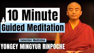 10 Minute Guided Meditation for Beginners on Awareness - Yongey Mingyur Rinpoche | LSE 2018【C:M Ep5】