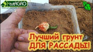 ЛУЧШИЙ ГРУНТ ДЛЯ РАССАДЫ! Без мух, грибков, черной ножки, рыхлый и с ПРЕВОСХОДНЫМ РЕЗУЛЬТАТОМ!