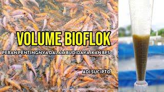 Revealing the secrets of successful fish and shrimp culture | biofloc volume and its role