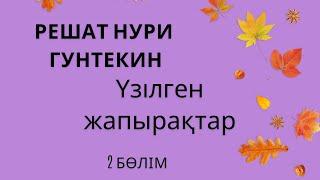 Решат Нури Гунтекин. Үзілген жапырақтар. 2 бөлім