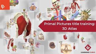 Primal Pictures title training: 3D Atlas