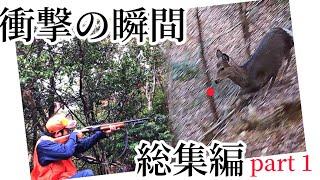 銃身カメラによる衝撃映像 イノシシと鹿の狩猟動画　SHOTKAM総集編 part１