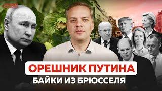 БАЙКИ ИЗ БРЮССЕЛЯ | ОРЕШНИК ПУТИНА | ТРАМП | ОТВЕТЫ НА ВОПРОСЫ