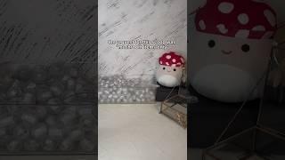 mushroom fidgets only! #asmr #squishmallow #fidget #haul #mysteryscoop