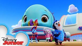 Baby Whale Delivery! | World Whale Day!  | T.O.T.S. | Disney Junior