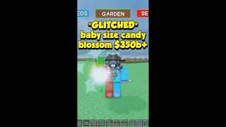 *GLITCHED* BABY SIZE CANDY BLOSSOM - Grow a Garden Roblox