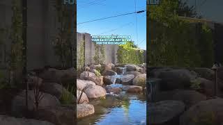 Koi pond in the middle of Phoenix! ️ 