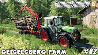 Mowing grass, selling eggs and wood | Geiselsberg Farm | Farming simulator 19 | Timelapse #02