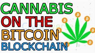 Cannabis Strains on Bitcoin’s Blockchain a Relief for Patients, Growers (The Cryptoverse #119)