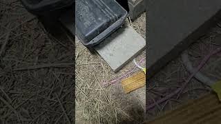 Just One Bite Bar Paired With Protecta Sidekick