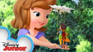 The Littlest Princess | Sofia The First | @disneyjr