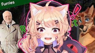 The Failure of Rainfurrest - Internet Historian React