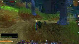 WoW Classic Кач шамой