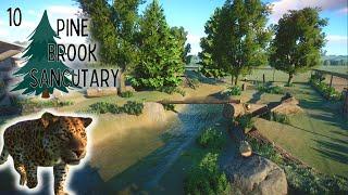 Amur Leopard | Pine Brook Sanctuary | 10 | Planet Zoo Let's Play Franchise