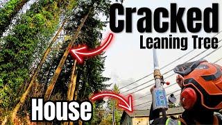 Deadly Cracked Tree Threatens Home | Remove it NOW!