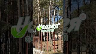 Санаторий Надзея, Брестская область