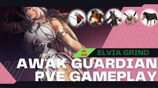 BDO| Guardian Awakening PVE gameplay in Elvia Server | Black Desert Online
