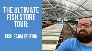 The ULTIMATE AQUARIUM FISH TOUR:Fish Farm Edition