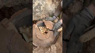 The hidden vault treasure of the deep cave #treasurehunt #metaldetecting #treasuresearch