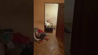14 серпня 2024 р.