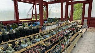 Walking through my 1000 sqft greenhouse in Manvel, Texas. We open Sundays.  713-298-2671