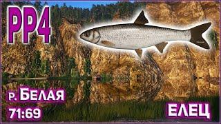 ЕЛЕЦ НА БЕЛОЙ РР4 / РУССКАЯ РЫБАЛКА 4 РЕКА БЕЛАЯ ЕЛЕЦ / RUSSIAN FISHING 4 BELAYA RIVER DACE