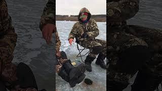 Подлещ