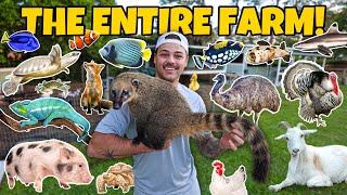 ALL of My ANIMALS & NEW PROJECTS!! (crazy)