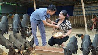 Sand to feed the pigs - Cut grass for the pigs, catch worms for the wife