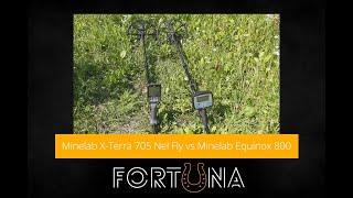 Minelab X-Terra 705 Nel Fly vs Minelab Equinox 800 - разделение и глубина