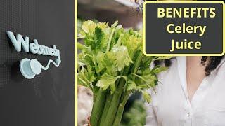 Top 7 Health Benefits of Celery Juice