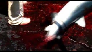 Shark finning in Iceland  **graphic**