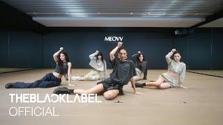 ‘MEOW’ DANCE PRACTICE VIDEO 2 (Moving Cam Ver.)