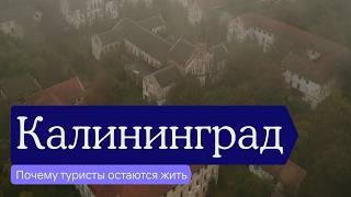 Почему туристы остаются жить в Калининграде, что там такого вообще есть и что смотреть в поездке.