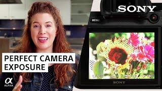 Perfect Camera Exposure with Zebra Stripes | Sony Alpha Universe