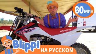 Изучаем Мотоциклы | Обучающие Песенки для детей | Blippi Russian