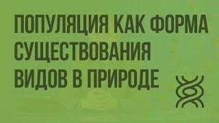 Популяция как форма существования видов в природе. Видеоурок по биологии 9 класс