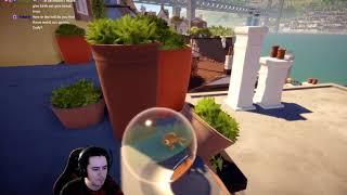 I Am Fish - Codyumm Full Playthrough